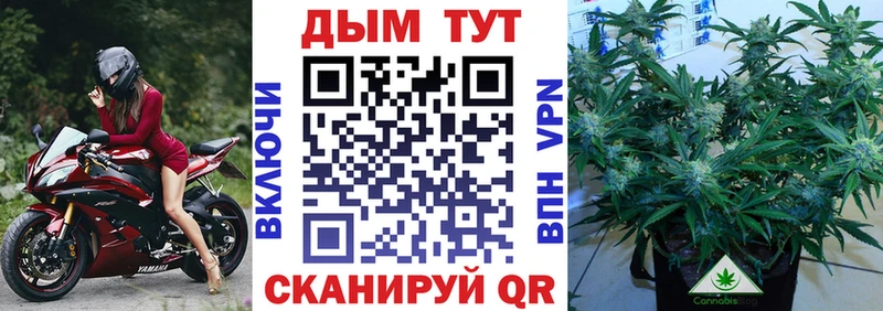 Купить наркотики цена Тосно ГАШ  Лсд 25  Мефедрон  БУТИРАТ  COCAIN  СОЛЬ  МАРИХУАНА  Галлюциногенные грибы 