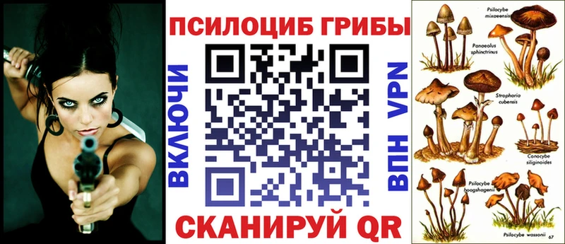 Псилоцибиновые грибы ЛСД  Тосно 