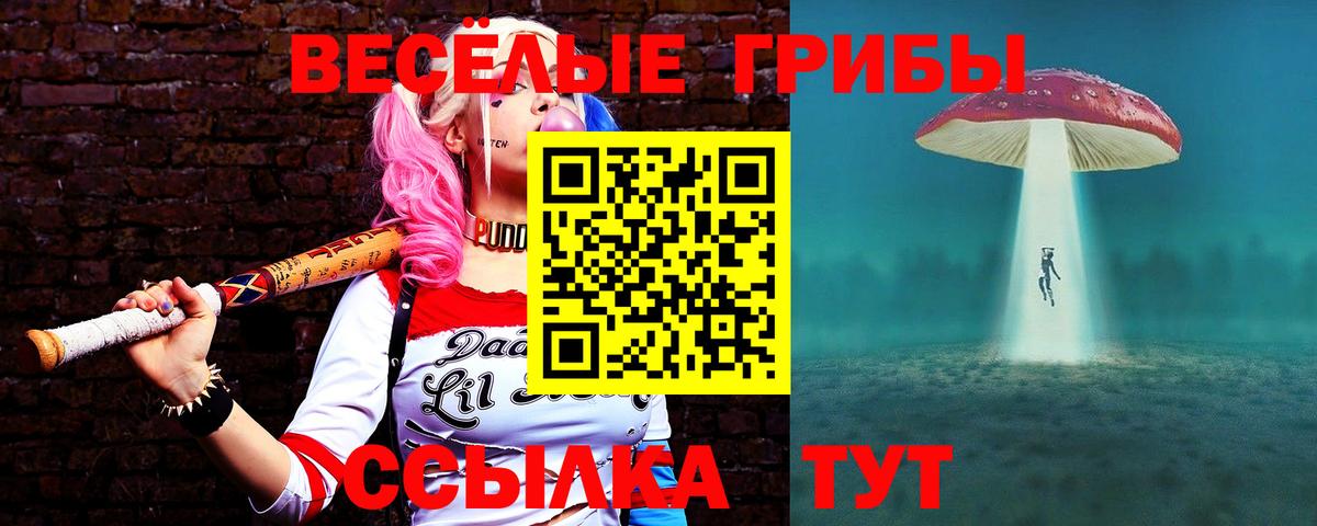Псилоцибиновые грибы GOLDEN TEACHER Тосно